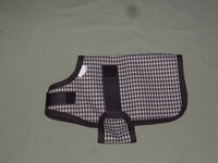 boer or nubian goat kid winter coat