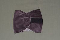 gray corduroy dog band