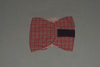 red plaid dog diaper