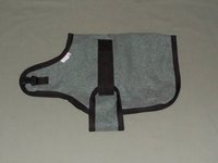 green pygmy goat coat