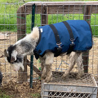 28" Red Winter Water-Resistant Goat Coat, Sheep Jacket with a Quilted Lining