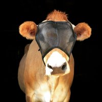 UV Mesh Cow Fly Masks Medium and Large Sizes, Cattle Supplies, Farm Livestock Supply