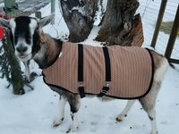 38" Black Winter Goat Coat, Sheep Jacket with a Fleece Lining, Boer Nubian Goat Supply