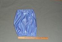 standard poodle dog ear care