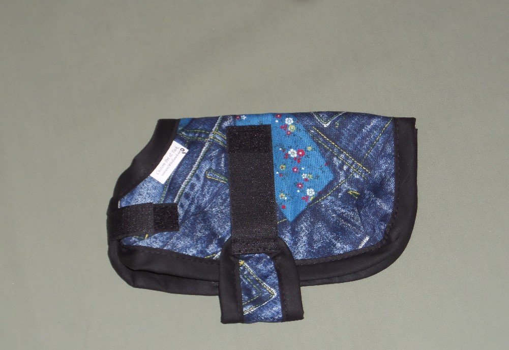 Nigerian goat kid coat
