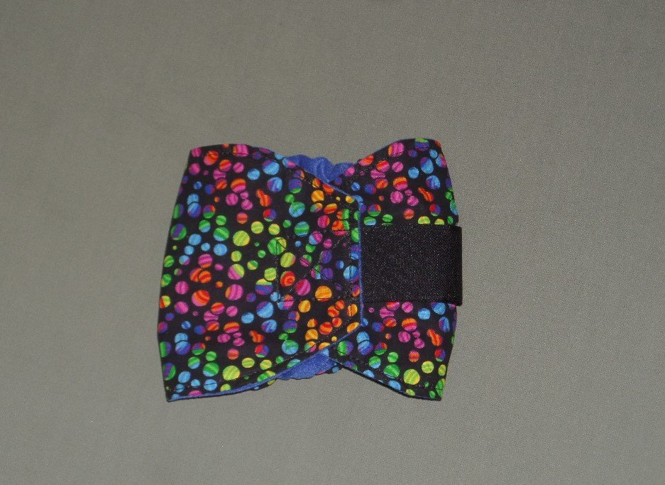 Bright male dog diaper