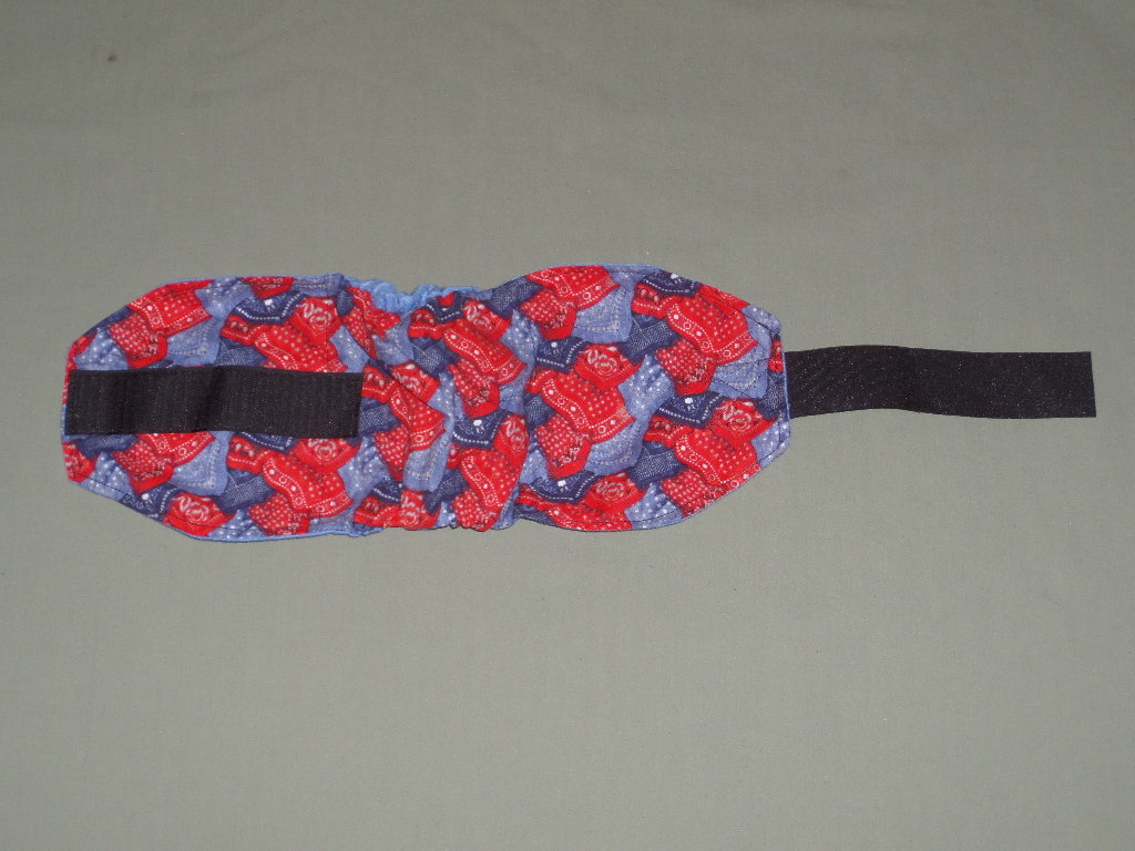 red blue doggy diaper training aid