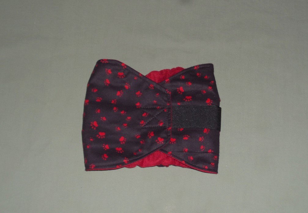 pawprint boy dog diaper