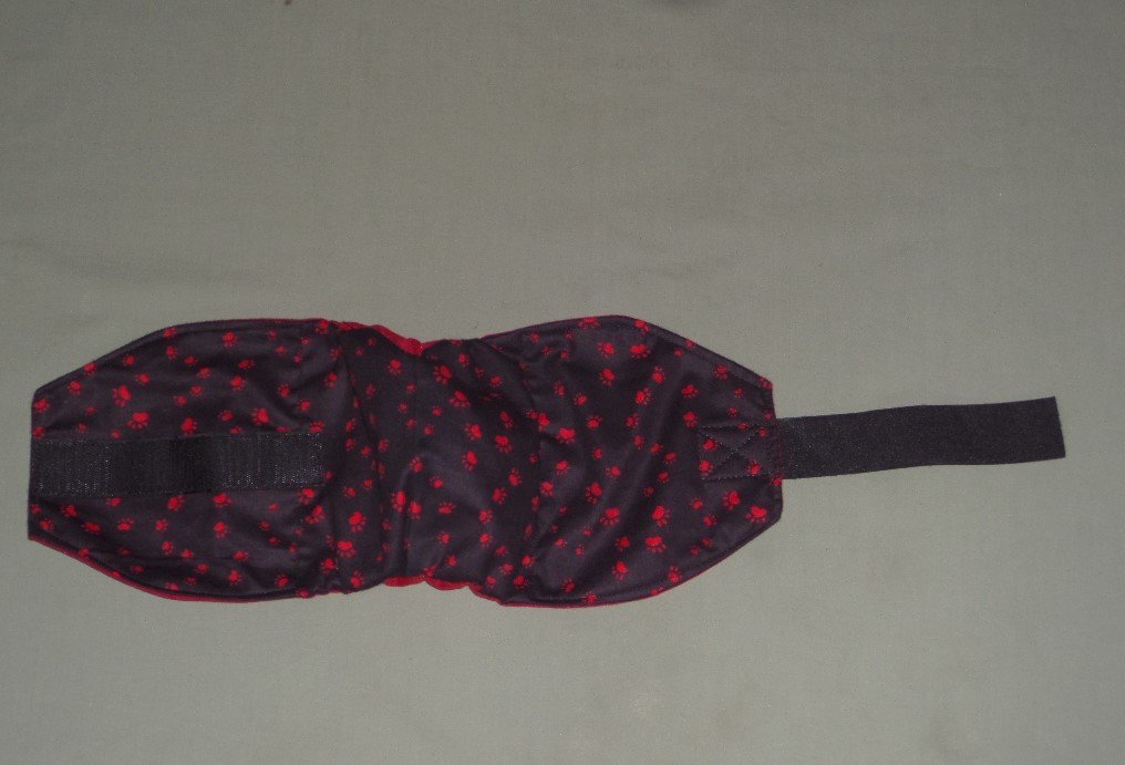 black and red dog belly band