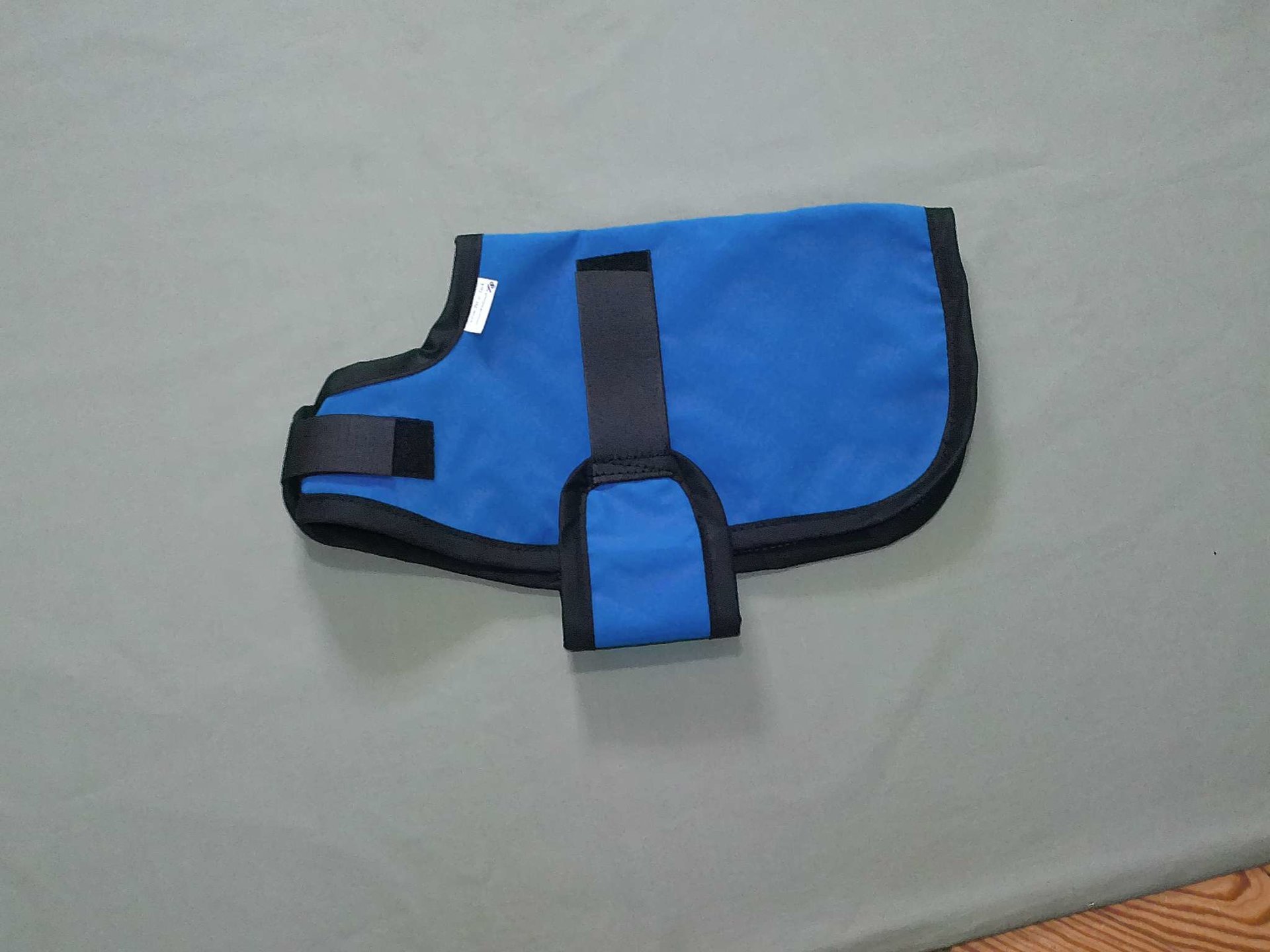 blue nubian boer goat kid coat