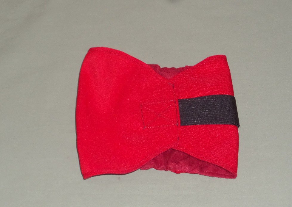 red male dog belly band