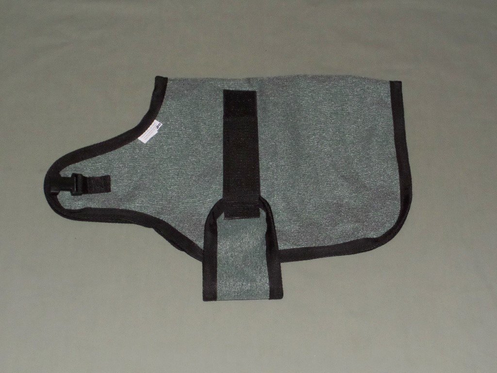 green pygmy goat coat