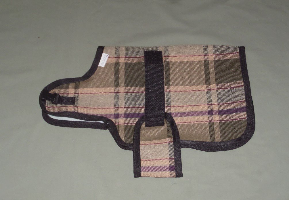 plaid nigerian goat coat