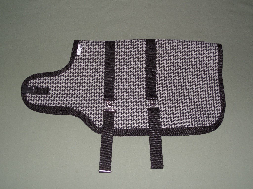 Nigerian goat coat