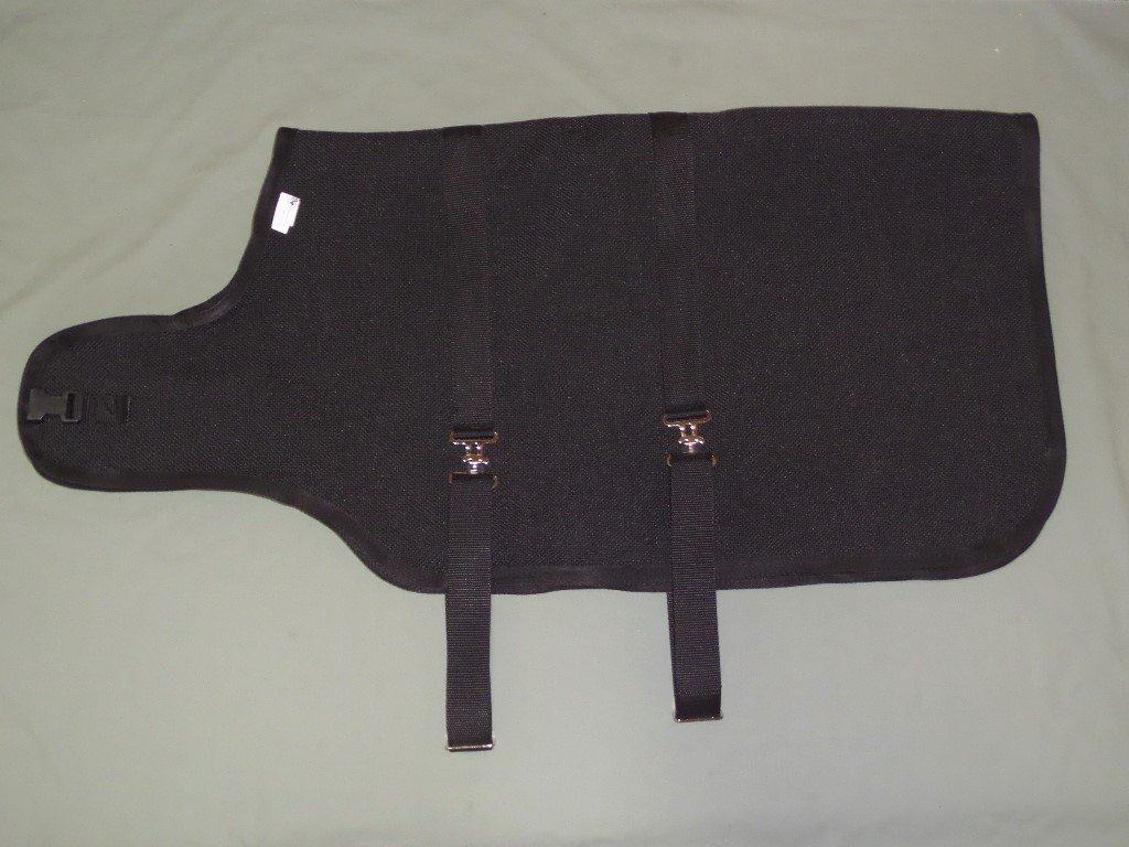 boer buck or doe black winter coat