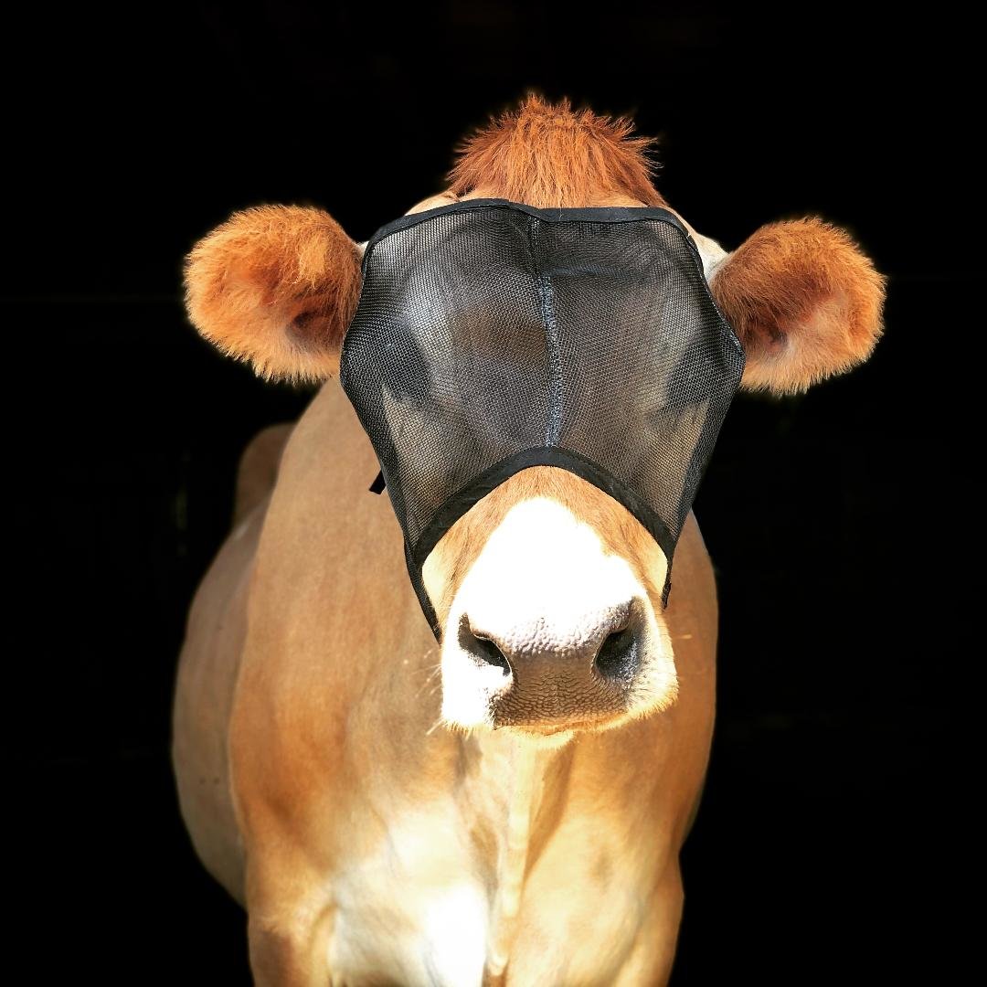 UV Mesh Cow Fly Masks Medium and Large Sizes, Cattle Supplies, Farm Livestock Supply