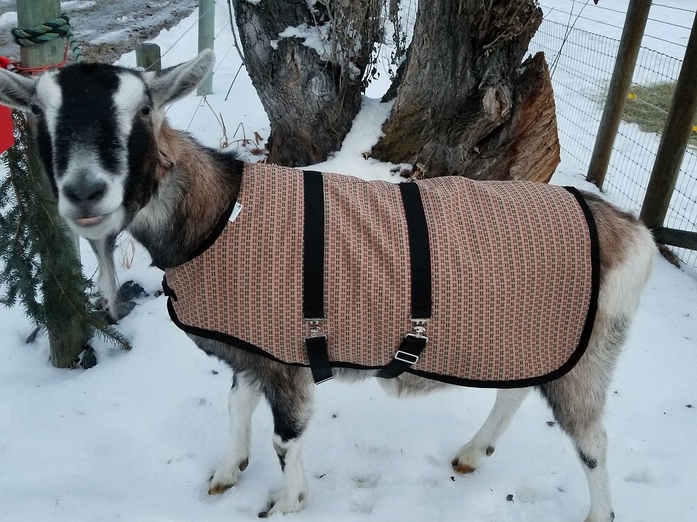 38" Black Winter Goat Coat, Sheep Jacket with a Fleece Lining, Boer Nubian Goat Supply