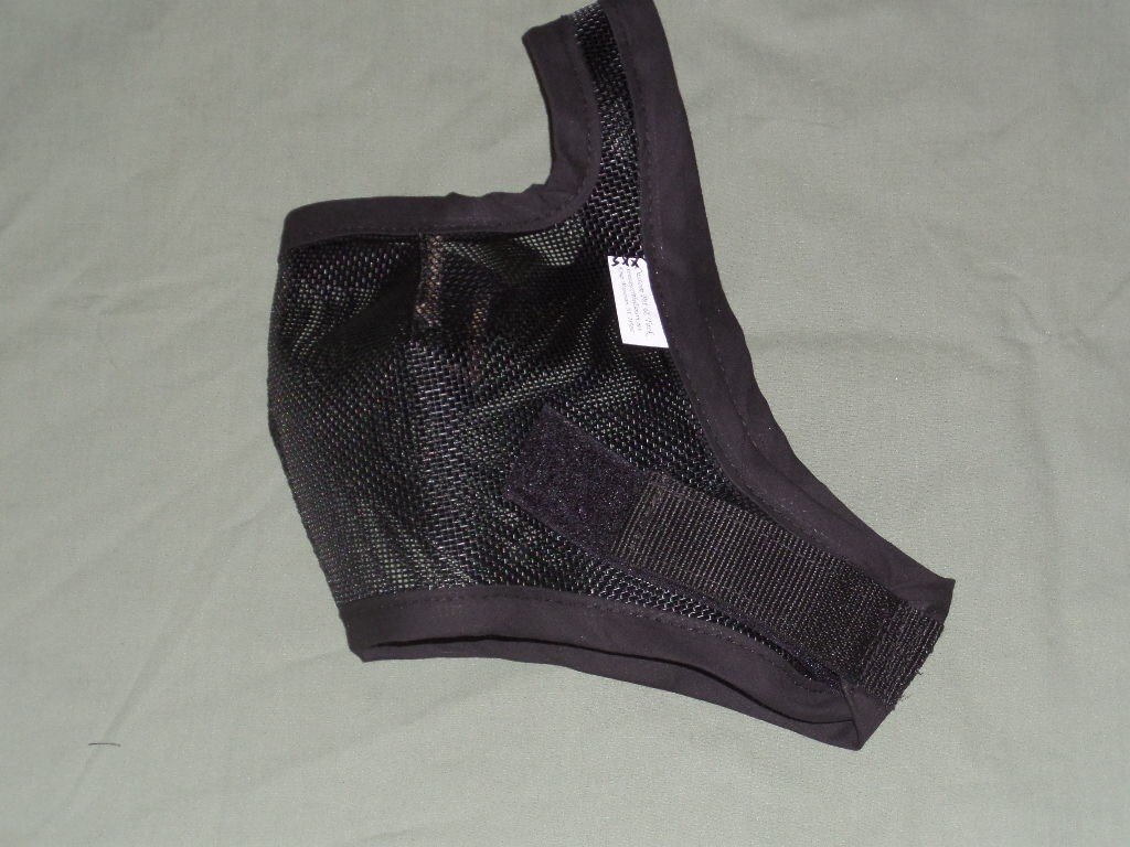 Mini horse division A fly mask