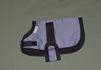 nigerian, pygmy kid coat