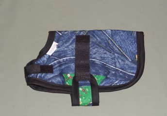 pygmy, nigerian kid winter coat