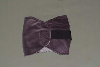 gray corduroy dog band