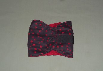 pawprint boy dog diaper