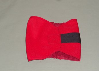 red male dog belly band