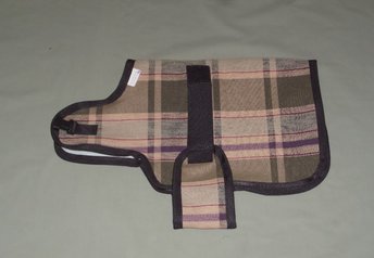 plaid nigerian goat coat