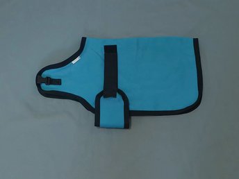 blue green pygmy goat coat