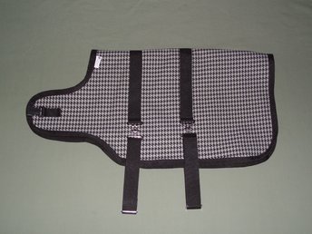 Nigerian goat coat