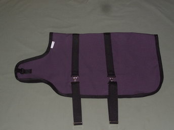 dairy or meat goat winter coat