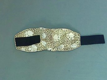 wild cat pawprint male dog diaper