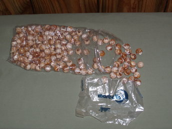 tan white round plastic beads